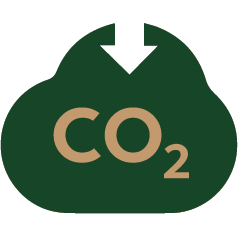 carbono negativo